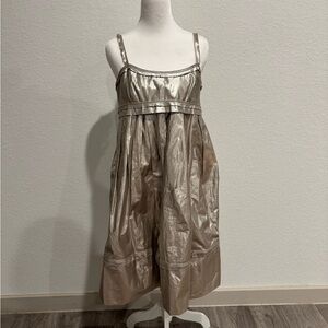 Robert Rodriguez Shiny Silver Dress